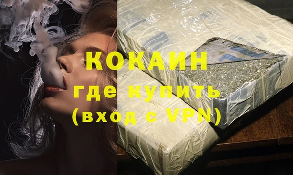 шишки Приозерск