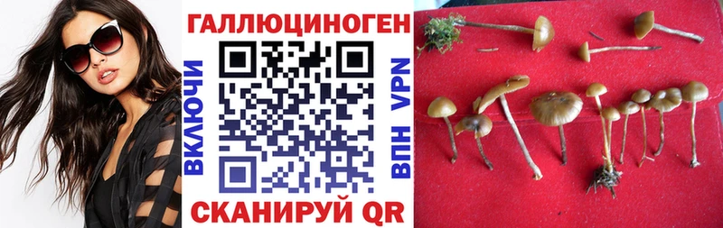 Псилоцибиновые грибы Psilocybine cubensis  сайты даркнета как зайти  Апатиты  kraken ССЫЛКА 